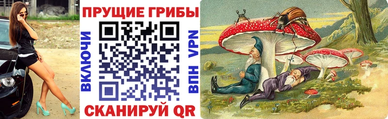 Галлюциногенные грибы мухоморы  KRAKEN ТОР  Бодайбо 